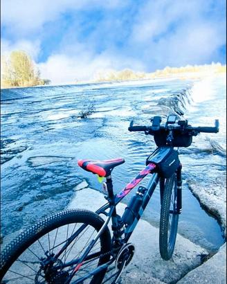 MTB zoop