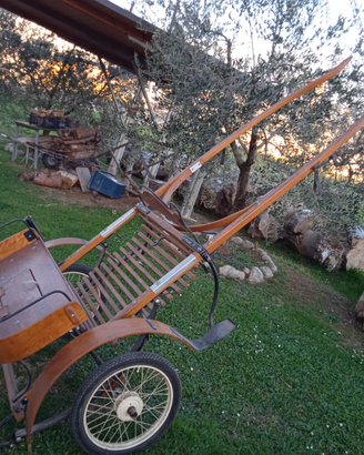 Calesse per pony