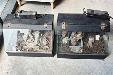 terrario per rettili