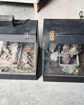 terrario per rettili