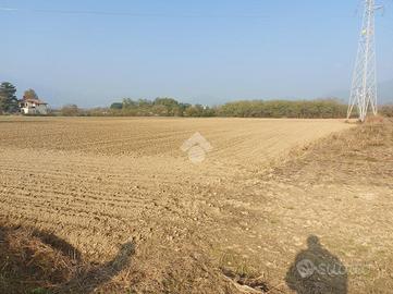 TER. AGRICOLO A CUMIANA