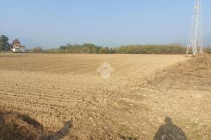 TER. AGRICOLO A CUMIANA