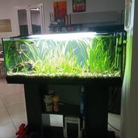 Acquario completo