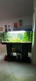 Acquario completo
