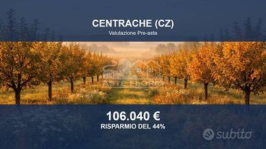 Immobile in asta di 111810 m² a Centrache