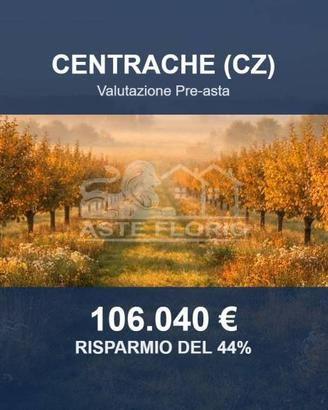Immobile in asta di 111810 m² a Centrache