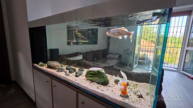 acquario artigianale  