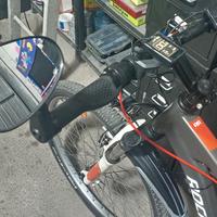 bicicletta elettrica 