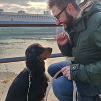 Cocker spaniel inglese disponibile per accoppiamen