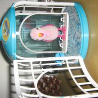 Pappagallo giocattolo