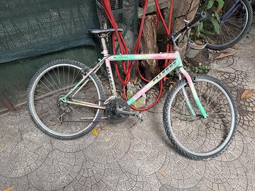 Bicicletta ellesse