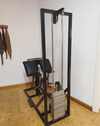 panca Larry Scott con pesi integrati