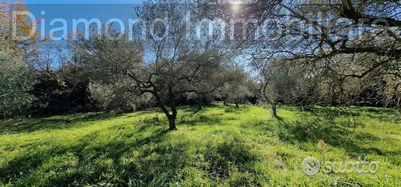 Terreno con rustico a Castiglione di Sicilia - Vista 2