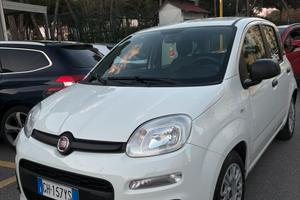 Fiat Panda 1.0 Hybrid - 2022 - 57.000 km