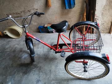 bicicletta a due ruote posteriori con cestino 