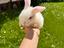 Immagine 4