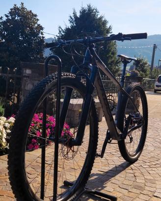Orbea Alma 29