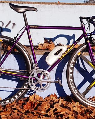 colnago 