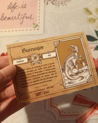 Carta Burrunjor Monsters numerata