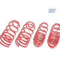 KIT MOLLE SPORTIVE PER SKODA