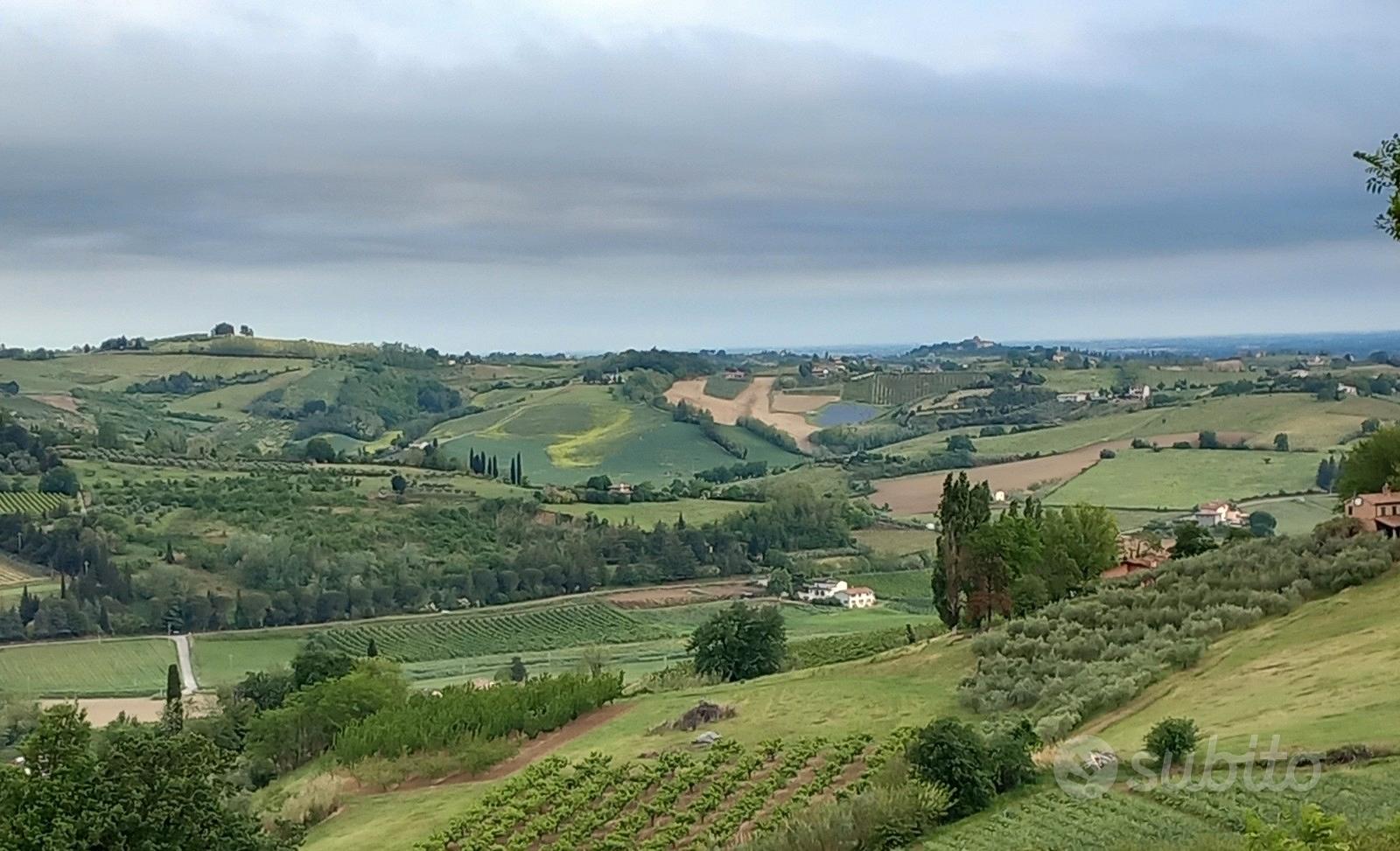 Terreno agricolo Montiano - Vista 4