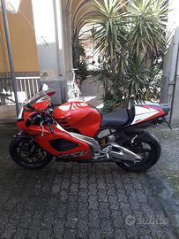 Aprilia rsv mille 