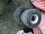 Immagine 1