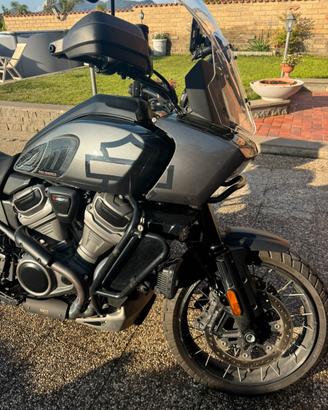 2021 Harley-Davidson Pan America
