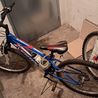 bicicletta per ragazzo 10 anni