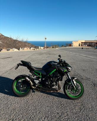 Z900 2023