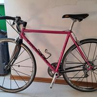 Grandis acciaio gruppo ultegra e fulcrum zero