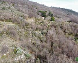 TERRENO AGRICOLO