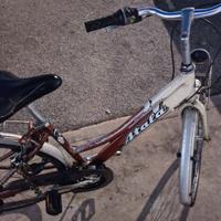 Bicicletta donna 28 pollici Atala
