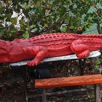 COCCODRILLO RESINA  COCCODRILLO PISCINA GIARDINO 