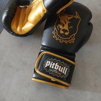  guantoni e parastinchi pitbull