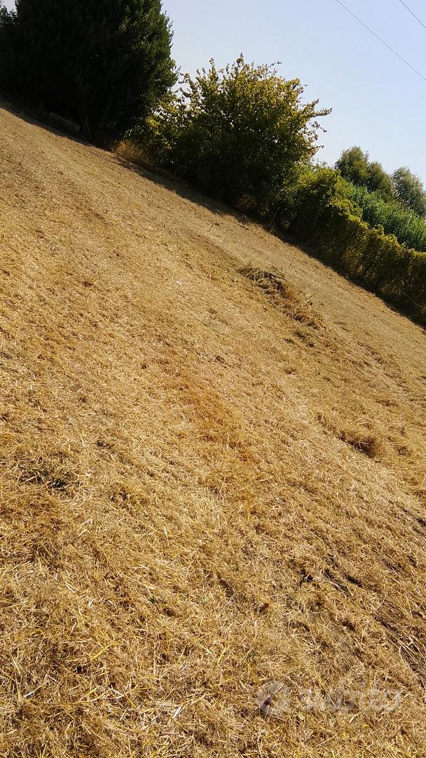 Terreno agricolo - Vista 4