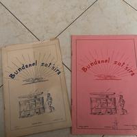 Libri vintage su Bondanello (MN)