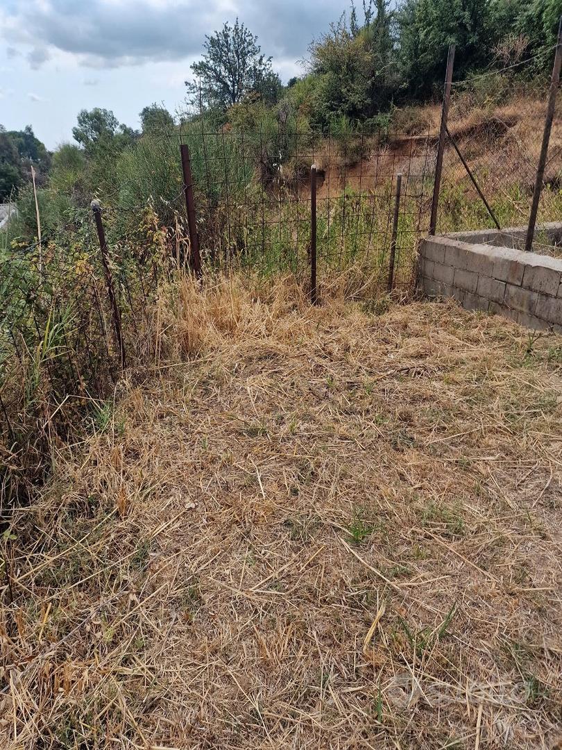 Terreno Foresta di Petilia Policastro - Vista 2
