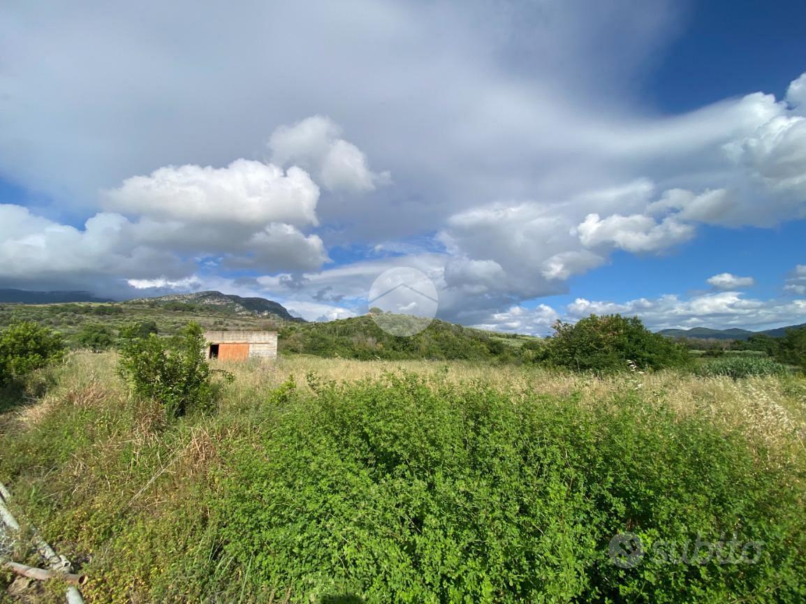 TER. AGRICOLO A CAPACCIO - Vista 5