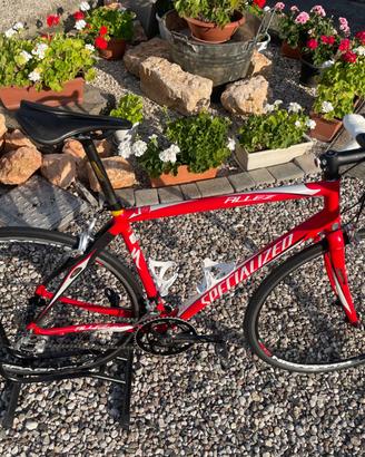 Specialized Campagnolo Centaur