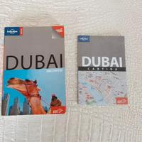 Dubai Lonely Planet