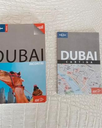 Dubai Lonely Planet