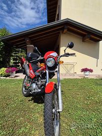 Beta Alp 125 4t