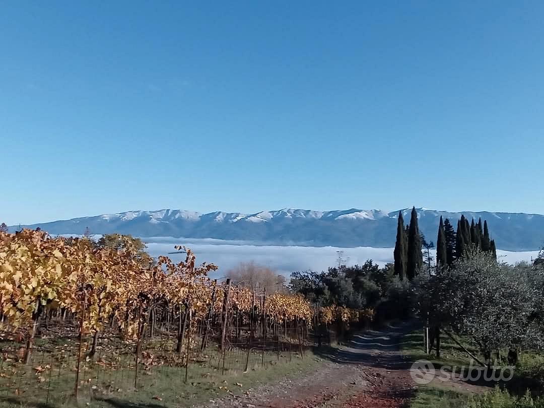 Villa indipendente alle porte del chianti - Vista 5