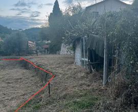 Terreno Agricolo Verzi di Loano