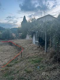 Terreno Agricolo Verzi di Loano