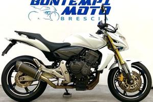 Honda Hornet