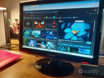 monitor TV Samsung da 20 pollici (modello Sy
