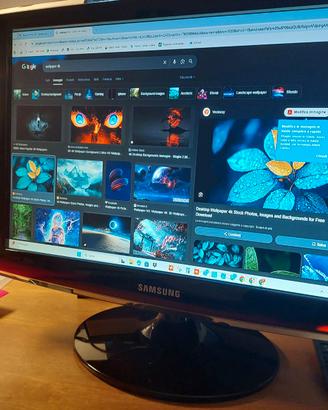 monitor TV Samsung da 20 pollici (modello Sy