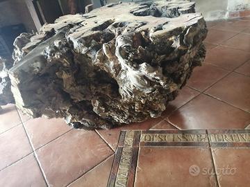 tavolo in radice di ulivo